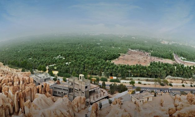 Arab Saudi Bangun Proyek Kota Hijau ‘Oasis Baru’ Di Gurun