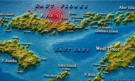 BMKG Catat 4.258 Gempa Susulan Pasca-Gempa M7,7 Flores